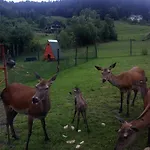 Affittacamere Kveder Škofja Loka