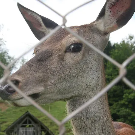Kveder Penzion Škofja Loka