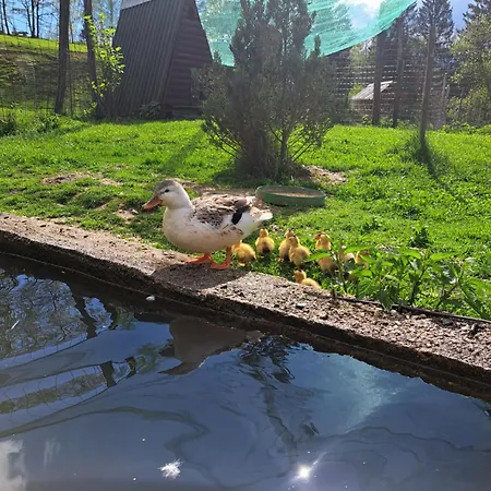 Penzion Kveder Škofja Loka