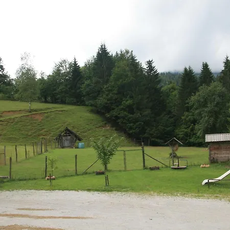 Kveder 3*