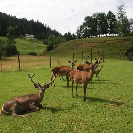 Kveder Penzion Škofja Loka