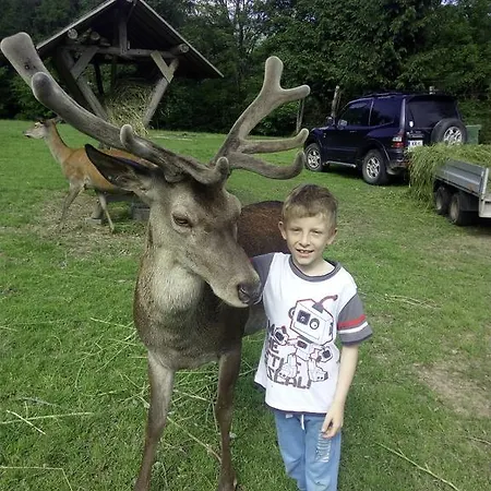 Kveder 게스트하우스 3*