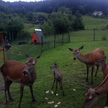 Penzion Kveder Škofja Loka
