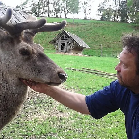 Kveder Škofja Loka