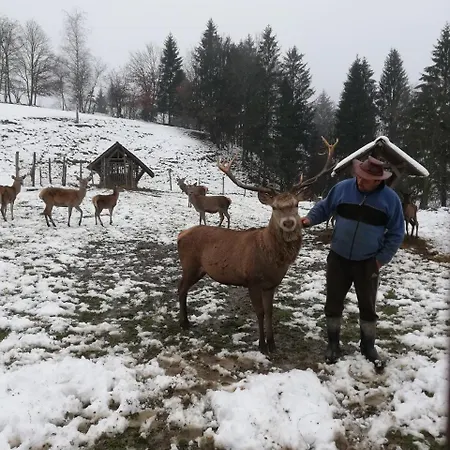 Kveder Penzion Škofja Loka