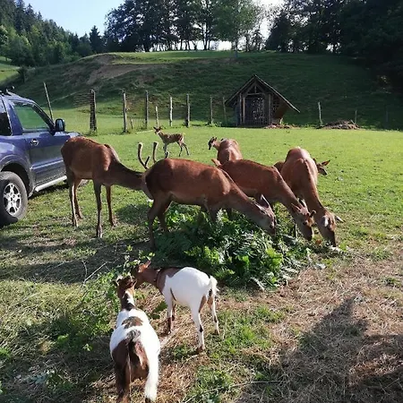 Penzion Kveder Škofja Loka