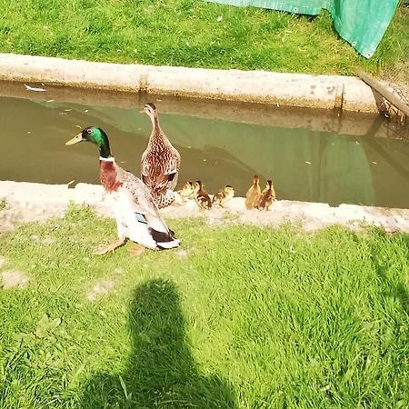 Kveder 3* Škofja Loka
