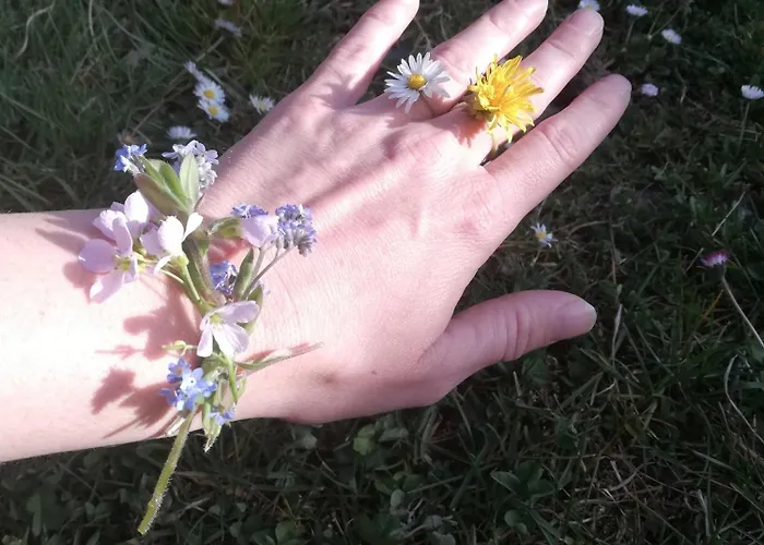 Gæstehus Kveder Škofja Loka