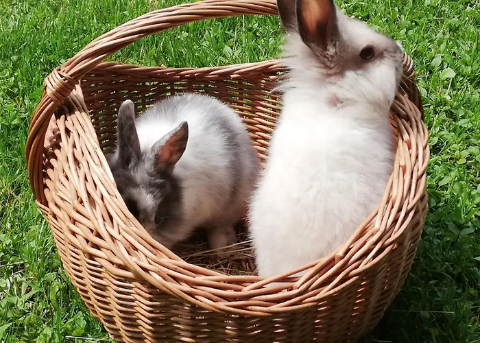 Kveder Penzion Škofja Loka