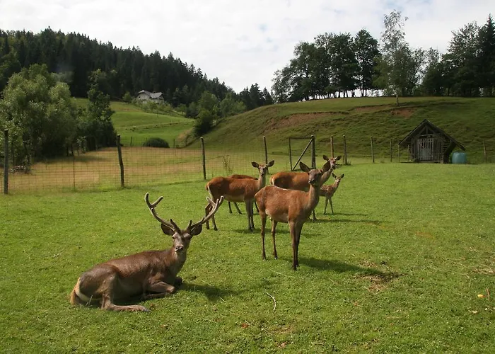 Kveder Gæstehus Škofja Loka