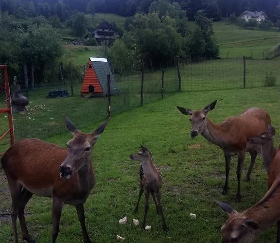 Penzion Kveder Škofja Loka