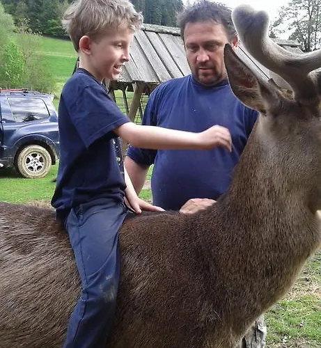 Kveder 3* Škofja Loka