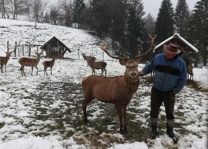 Kveder Gæstehus Škofja Loka