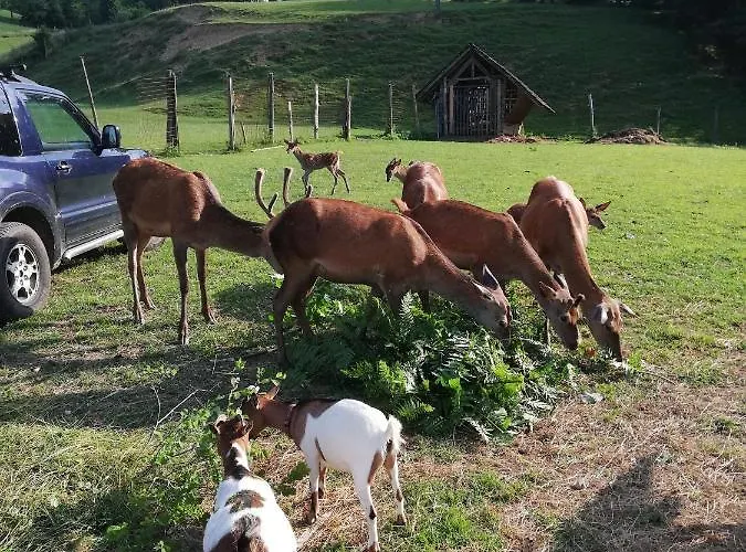Penzion Kveder Škofja Loka