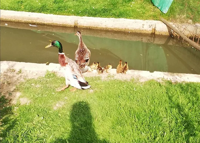 Kveder 3* Škofja Loka